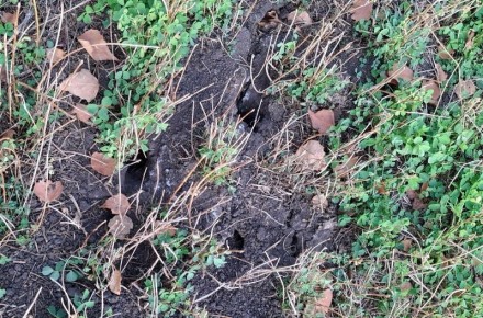 � �������� ���������� ������� �������� ����