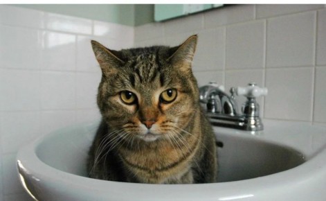 28 ������ ����� ����� �� ������������� ��������� ��� �������� ����!