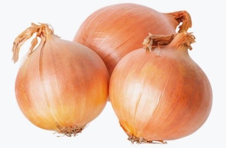 ����� ��������� ���� � ������: ������� �������� �������