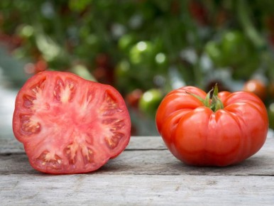 ��� ������ �������� �������: ������������ �������� ����������� ���������