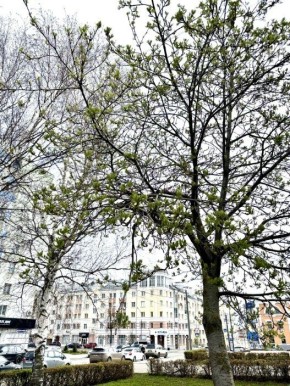 �� ���������� ���� � ������ ����������� ������ �� ����������������� � ����������� ���������� �����: