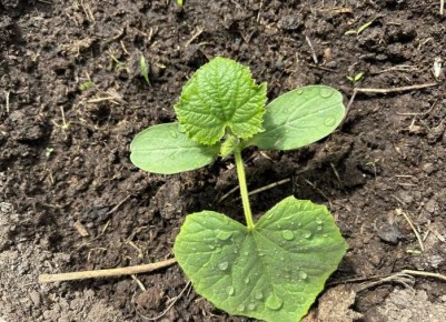 ��� ���������� �� ����������� �� �������: ������� ������ ��� ��������