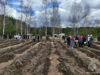 ������� � ������������� ����� ���� ������