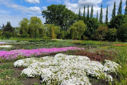 1 ��� ��������� ����� ����� � ������ �������� � ������ ��������