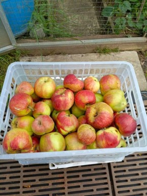 ��� ���������� ������ ������?