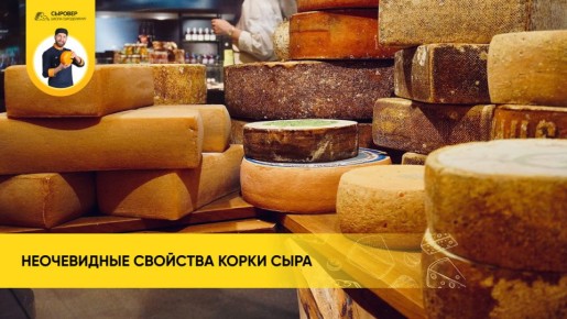 ����� ����: �������� � ������������ �����