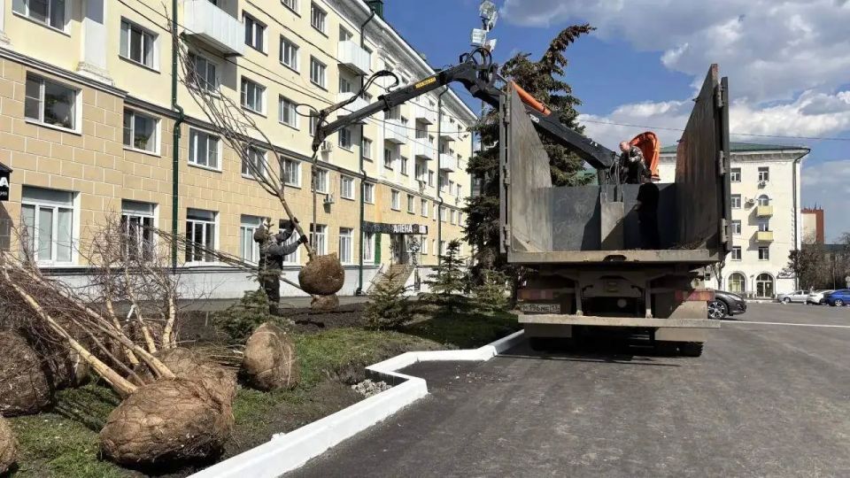 На площади по улице Советской начались работы по озеленению На площади по улице Советской начались работы по озеленению