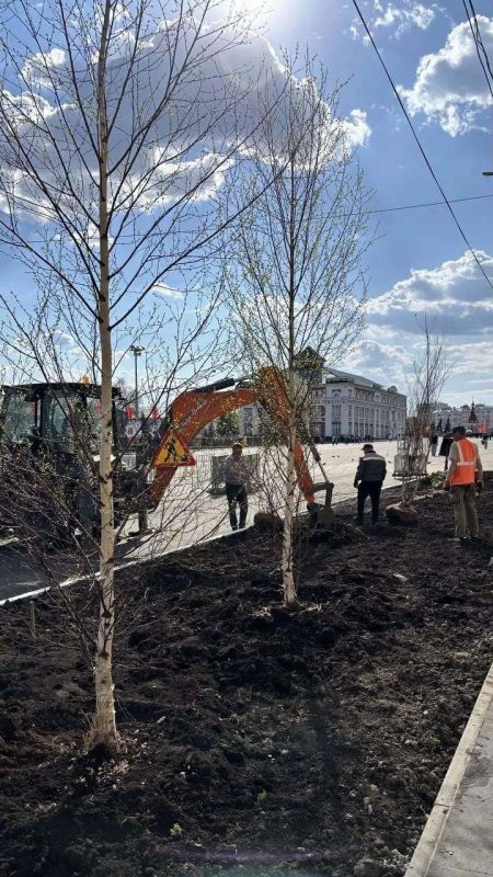 На площади по улице Советской начались работы по озеленению На площади по улице Советской начались работы по озеленению