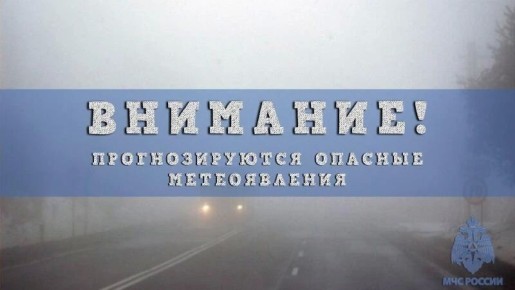 � �������� �� 12 ��� ��-�� ����� ��������� ����������� ��������������