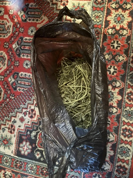 Житель Саранска обвиняется в хранении почти 800 граммов марихуаны, которую он ранее культивировал в районном центре, где проживают родственники Житель Саранска обвиняется в хранении почти 800 граммов марихуаны, которую он ранее культивировал в районном центре, где проживают родственники