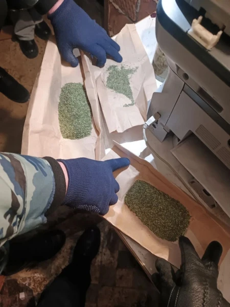 Житель Саранска обвиняется в хранении почти 800 граммов марихуаны, которую он ранее культивировал в районном центре, где проживают родственники
