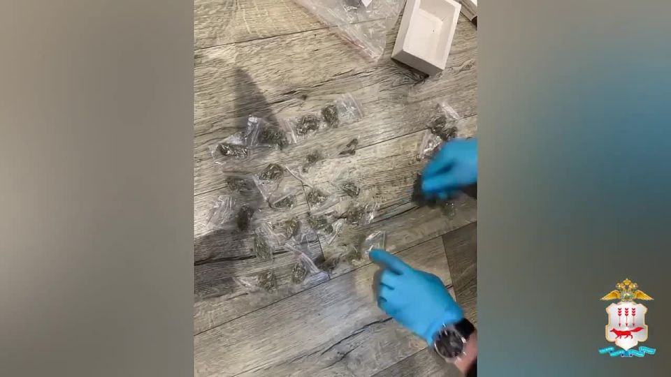 В Саранске осуждена местная жительница, в жилище которой оперативники УНК обнаружили спрятанную в холодильнике марихуану
