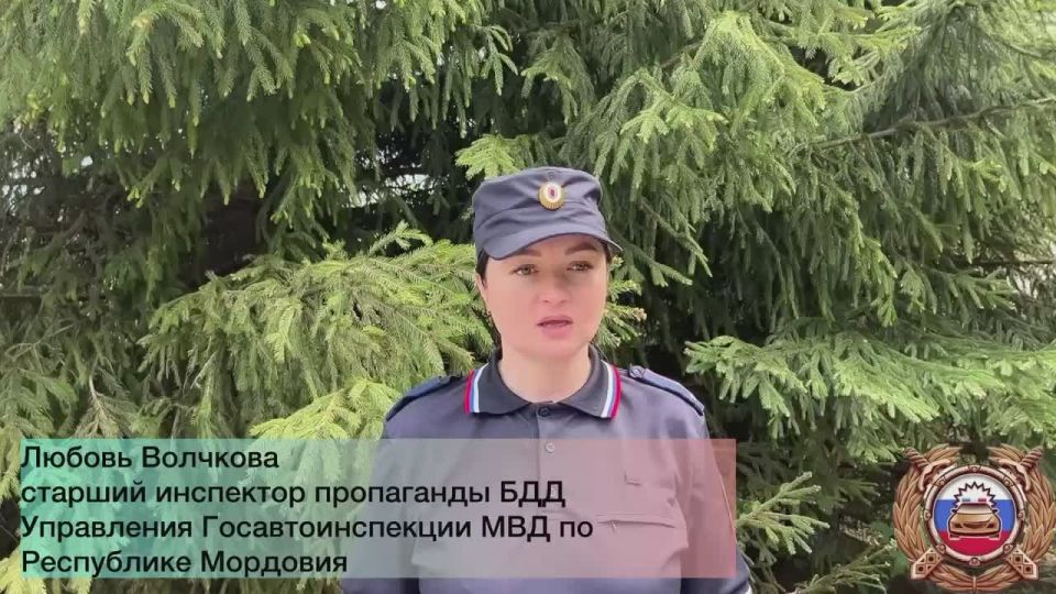Двое жителей Мордовии за непривлечение к административной ответственности пытались дать взятку инспекторам ДПС