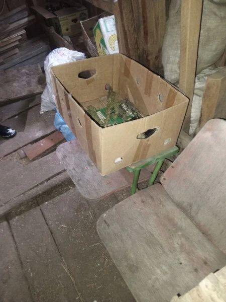 Житель Мордовии признан виновным в незаконном хранении почти 90 граммов марихуаны Житель Мордовии признан виновным в незаконном хранении почти 90 граммов марихуаны