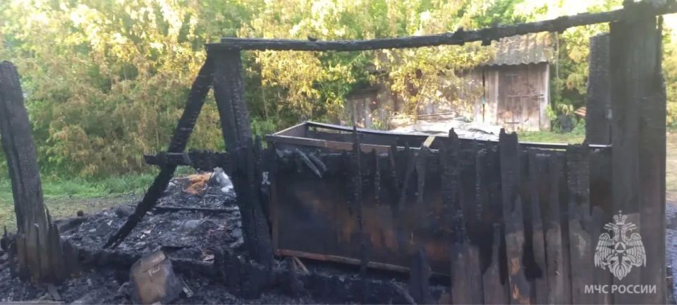 Пожар в Рузаевском районе. В населенном пункте Плодопитомнический Пожар в Рузаевском районе. В населенном пункте Плодопитомнический