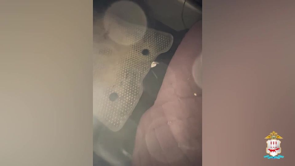 В Рузаевском районе сотрудники полиции обнаружили в салоне «Лады Весты» мефедрон