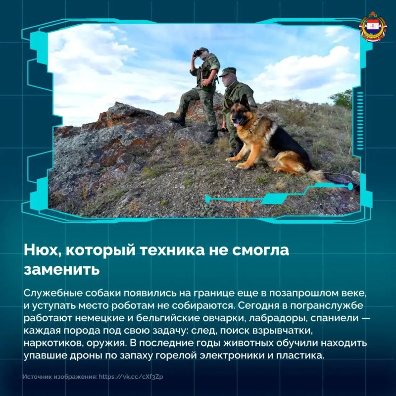 28 мая свой профессиональный праздник отмечают те, кто охраняет рубежи нашей огромной Родины: от Калининграда до Владивостока 28 мая свой профессиональный праздник отмечают те, кто охраняет рубежи нашей огромной Родины: от Калининграда до Владивостока