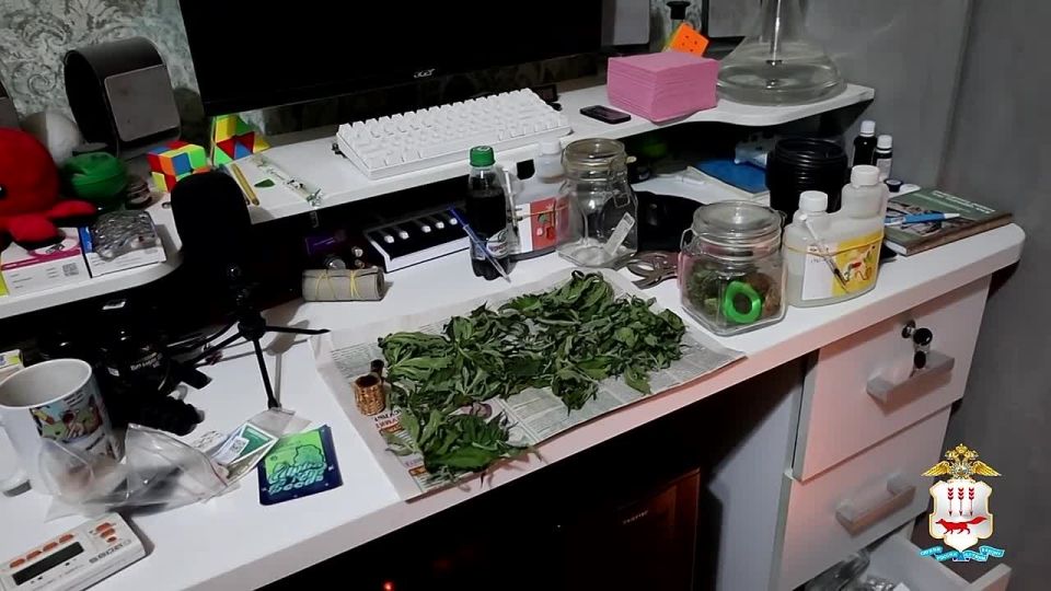 В Саранске осужден местный житель, в квартире которого оперативники УНК обнаружили марихуану и спрятанный в шкафу с электронным замком горшок с произрастающими кустами конопли