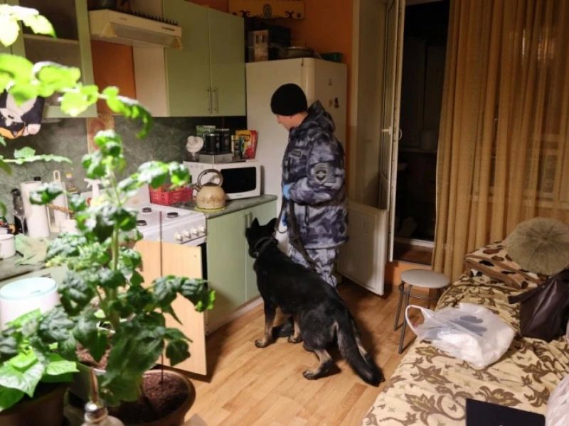 В Саранске осужден местный житель, в квартире которого оперативники УНК обнаружили марихуану и спрятанный в шкафу с электронным замком горшок с произрастающими кустами конопли В Саранске осужден местный житель, в квартире которого оперативники УНК обнаружили марихуану и спрятанный в шкафу с электронным замком горшок с произрастающими кустами конопли