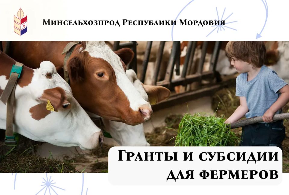 Мордовия поддерживает фермеров: стартует прием заявок на гранты и субсидии!