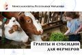 Мордовия поддерживает фермеров: стартует прием заявок на гранты и субсидии!