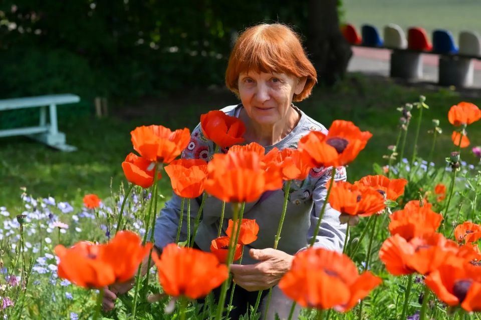 Усилиями Надежды Ивановны Ефремовой эта уютная территория на улице Серадзской превратилась в школу-цветник Усилиями Надежды Ивановны Ефремовой эта уютная территория на улице Серадзской превратилась в школу-цветник