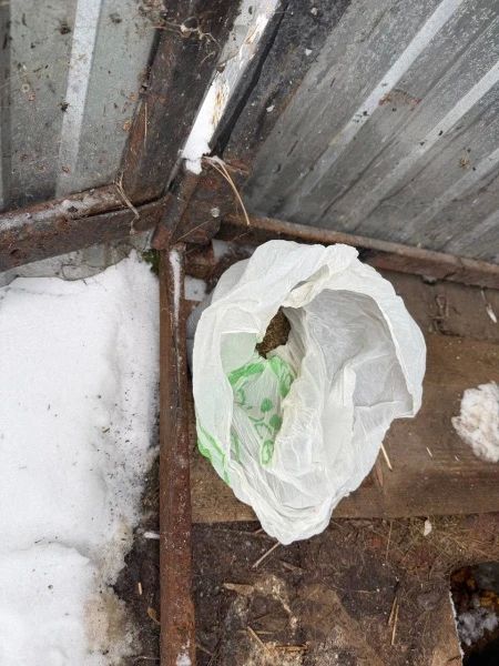 В Мордовии к 3 годам лишения свободы условно приговорен местный житель, незаконно хранивший более полукилограмма марихуаны, спрятанной в уличном туалете В Мордовии к 3 годам лишения свободы условно приговорен местный житель, незаконно хранивший более полукилограмма марихуаны, спрятанной в уличном туалете