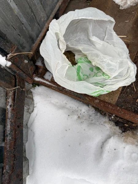 В Мордовии к 3 годам лишения свободы условно приговорен местный житель, незаконно хранивший более полукилограмма марихуаны, спрятанной в уличном туалете В Мордовии к 3 годам лишения свободы условно приговорен местный житель, незаконно хранивший более полукилограмма марихуаны, спрятанной в уличном туалете