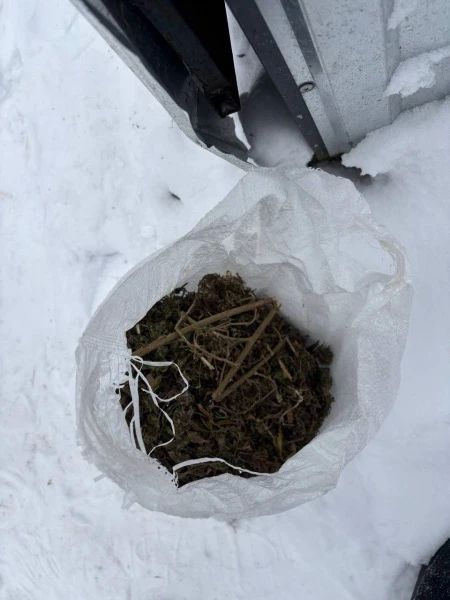 В Мордовии к 3 годам лишения свободы условно приговорен местный житель, незаконно хранивший более полукилограмма марихуаны, спрятанной в уличном туалете В Мордовии к 3 годам лишения свободы условно приговорен местный житель, незаконно хранивший более полукилограмма марихуаны, спрятанной в уличном туалете