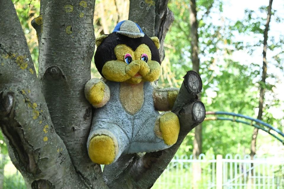 В одном из дворов Саранска поселилась В одном из дворов Саранска поселилась