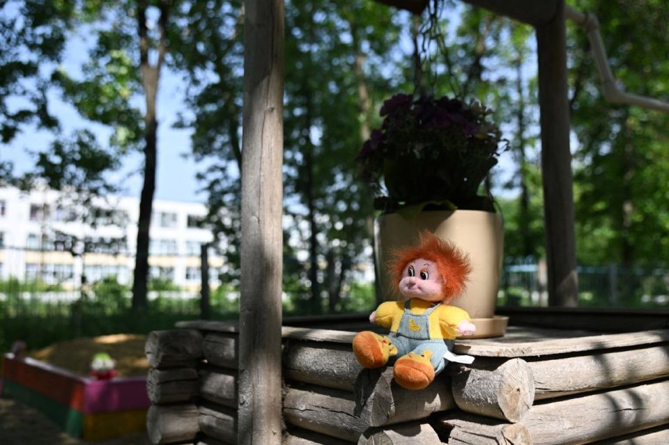 В одном из дворов Саранска поселилась В одном из дворов Саранска поселилась
