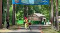 � �������� ���������� 20-� ��������������� ������������ ������ ������������