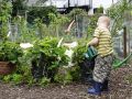 Как поливать растения зимой: секреты успешного ухода за огородом в холодное время года