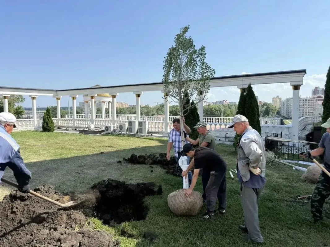 Продолжается озеленение территории у памятника Патриарху Никону Продолжается озеленение территории у памятника Патриарху Никону