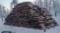 Необычное топливо: как рыба согревала дома в России