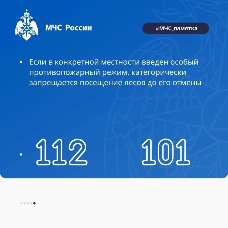 На территории Республики Мордовия сохраняется высокая пожарная опасность в лесах На территории Республики Мордовия сохраняется высокая пожарная опасность в лесах