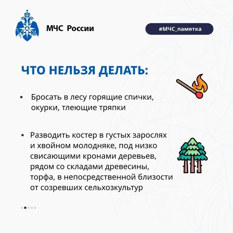 На территории Республики Мордовия сохраняется высокая пожарная опасность в лесах На территории Республики Мордовия сохраняется высокая пожарная опасность в лесах
