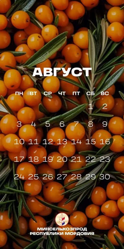 Август – пора урожая. В Мордовии идет уборочная кампания Август – пора урожая. В Мордовии идет уборочная кампания
