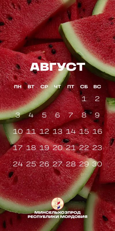 Август – пора урожая. В Мордовии идет уборочная кампания Август – пора урожая. В Мордовии идет уборочная кампания