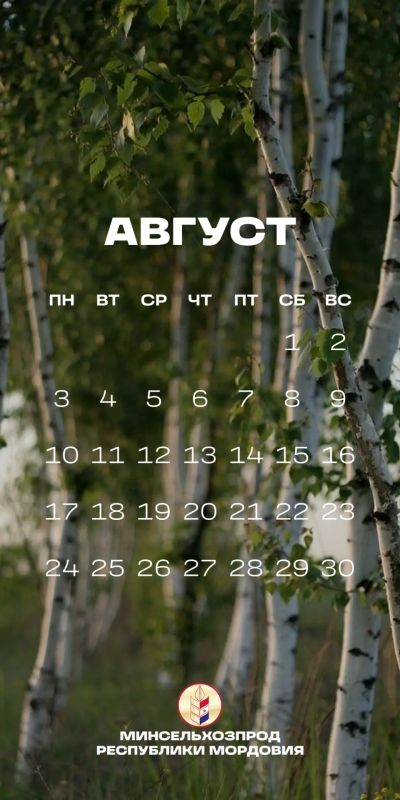 Август – пора урожая. В Мордовии идет уборочная кампания Август – пора урожая. В Мордовии идет уборочная кампания