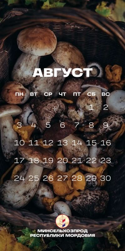 Август – пора урожая. В Мордовии идет уборочная кампания Август – пора урожая. В Мордовии идет уборочная кампания