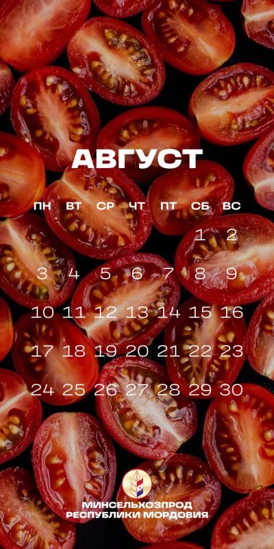 Август – пора урожая. В Мордовии идет уборочная кампания Август – пора урожая. В Мордовии идет уборочная кампания