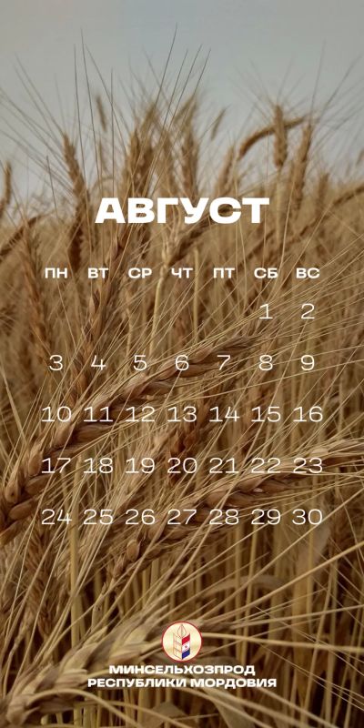 Август – пора урожая. В Мордовии идет уборочная кампания Август – пора урожая. В Мордовии идет уборочная кампания