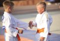 Какова вероятность, что на одной площадке соберутся представители разных видов спорта? В Мордовии возможно всё! Министерство спорта РМ подарило жителям столицы большой спортивный праздник, где футболисты вступали в поединок...