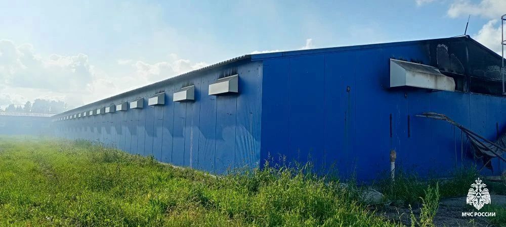 Огнеборцы ликвидировали крупный пожар в Ардатовском районе Огнеборцы ликвидировали крупный пожар в Ардатовском районе