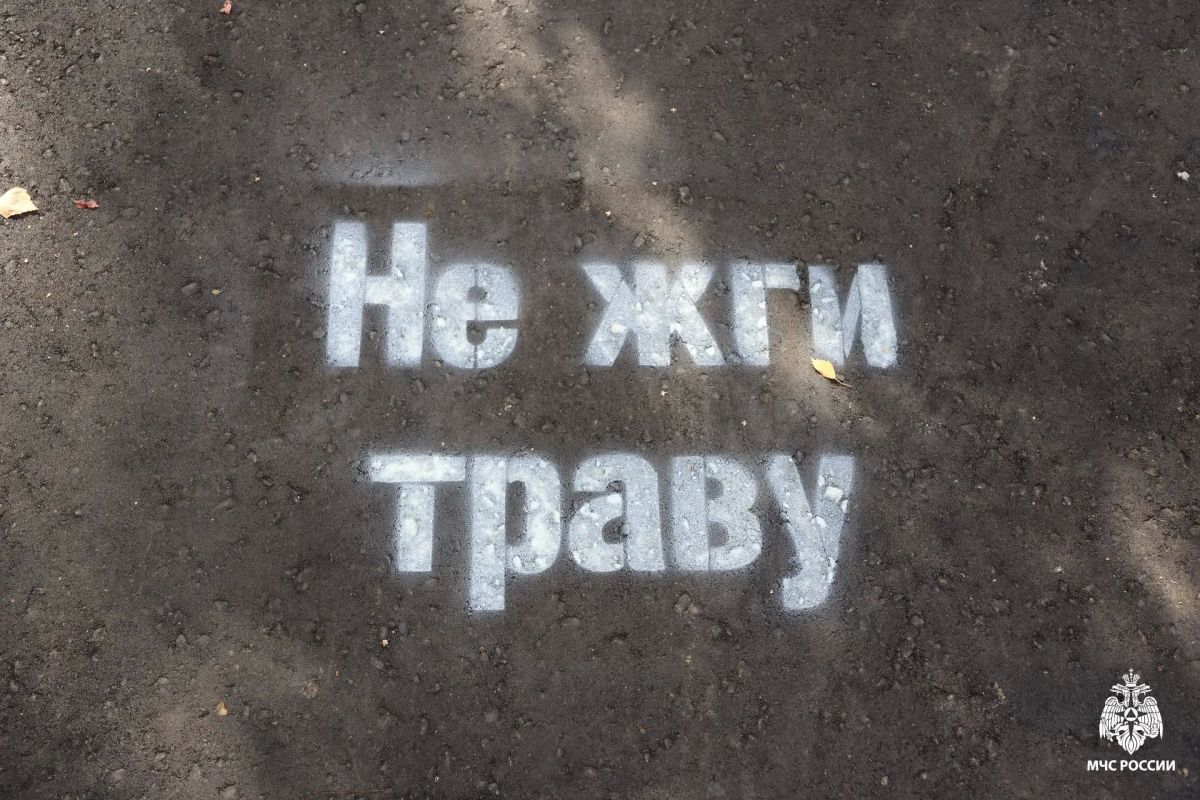 В Мордовии запущена новая совместная профилактическая акция В Мордовии запущена новая совместная профилактическая акция