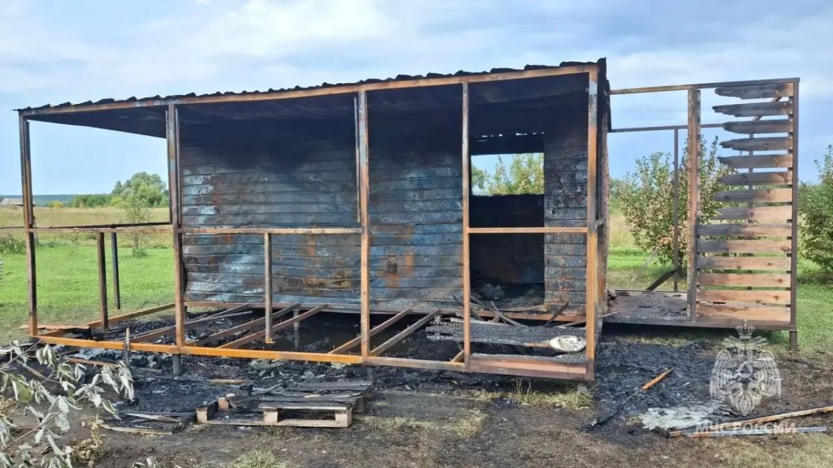 Пожар в Старошайговском районе Пожар в Старошайговском районе