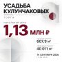 Объявлены торги на усадьбу Кулунчаковых в селе Стрельниково