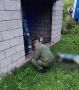 Житель Мордовии заживо сжёг спящего собутыльника