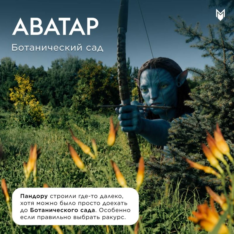 Ко Дню кино немного пофантазировали: что было бы, если бы Голливуд однажды свернул в нужном направлении и приехал в Мордовию Ко Дню кино немного пофантазировали: что было бы, если бы Голливуд однажды свернул в нужном направлении и приехал в Мордовию